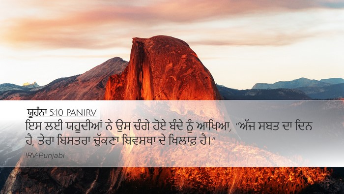 ਯੂਹੰਨਾ 5:10 PANIRV Bible Verse Image