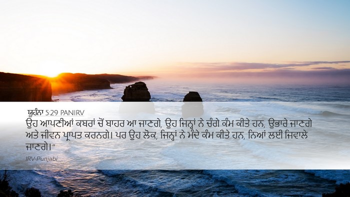 ਯੂਹੰਨਾ 5:29 PANIRV Bible Verse Image