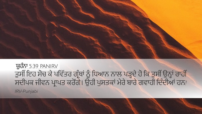 ਯੂਹੰਨਾ 5:39 PANIRV Bible Verse Image