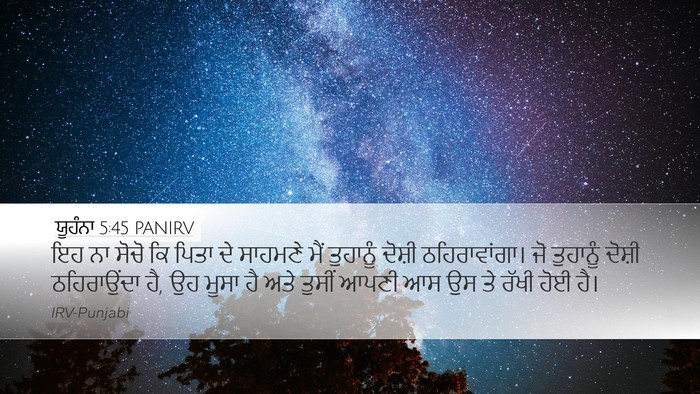 ਯੂਹੰਨਾ 5:45 PANIRV Bible Verse Image