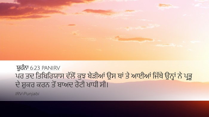 ਯੂਹੰਨਾ 6:23 PANIRV Bible Verse Image