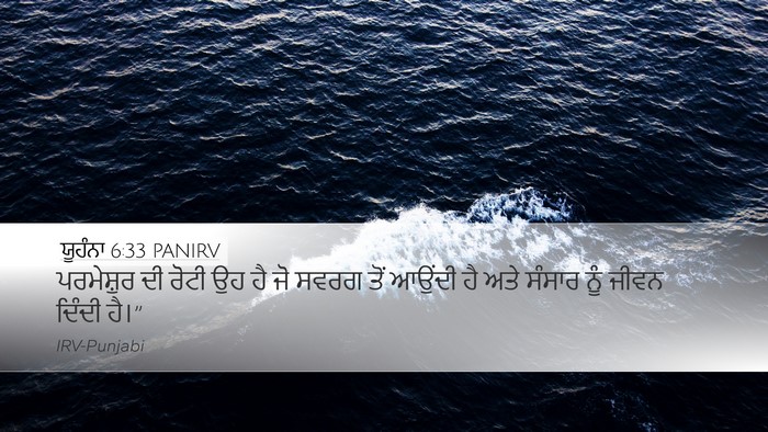 ਯੂਹੰਨਾ 6:33 PANIRV Bible Verse Image