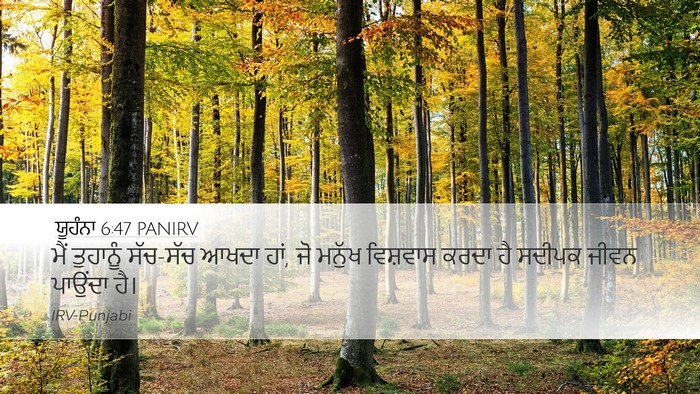 ਯੂਹੰਨਾ 6:47 PANIRV Bible Verse Image