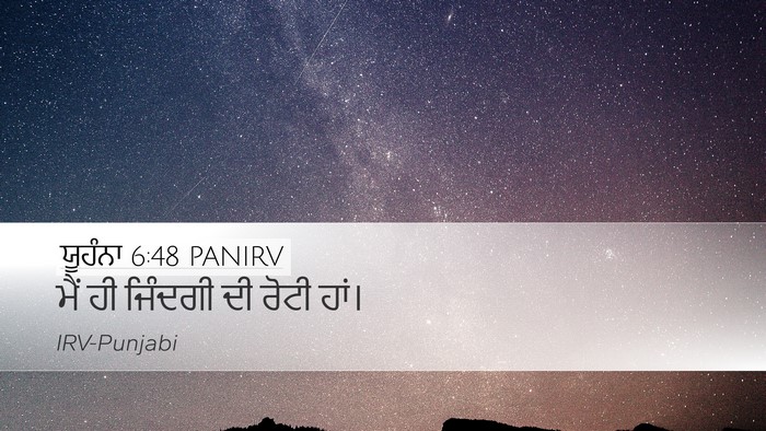 ਯੂਹੰਨਾ 6:48 PANIRV Bible Verse Image
