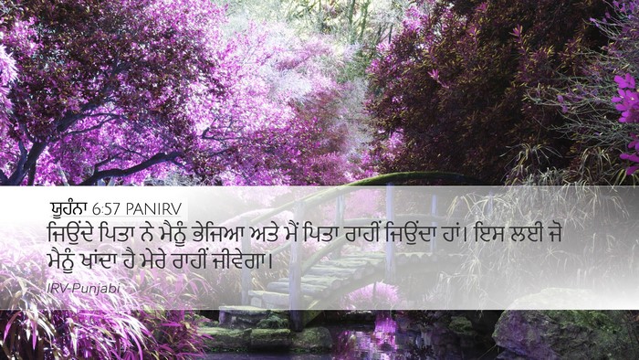 ਯੂਹੰਨਾ 6:57 PANIRV Bible Verse Image