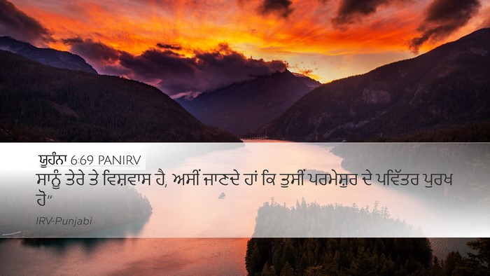 ਯੂਹੰਨਾ 6:69 PANIRV Bible Verse Image