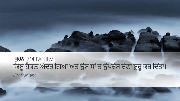 ਯੂਹੰਨਾ 7:14 PANIRV Bible Verse Image