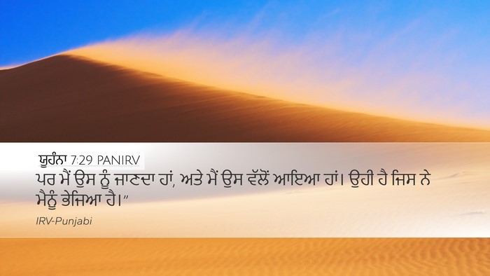 ਯੂਹੰਨਾ 7:29 PANIRV Bible Verse Image