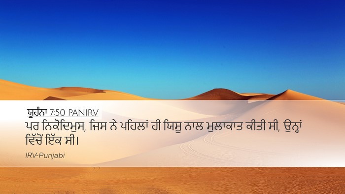 ਯੂਹੰਨਾ 7:50 PANIRV Bible Verse Image