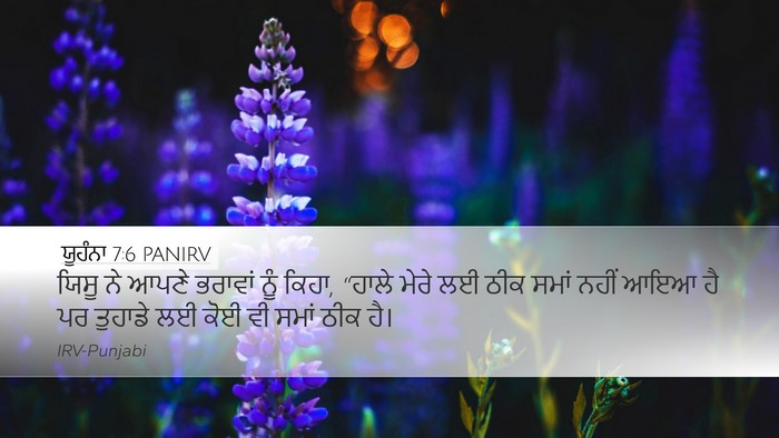 ਯੂਹੰਨਾ 7:6 PANIRV Bible Verse Image