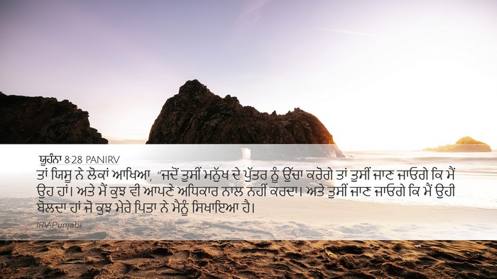 ਯੂਹੰਨਾ 8:28 PANIRV Bible Verse Image