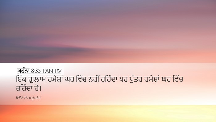 ਯੂਹੰਨਾ 8:35 PANIRV Bible Verse Image