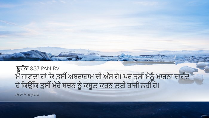 ਯੂਹੰਨਾ 8:37 PANIRV Bible Verse Image