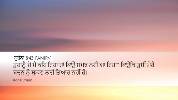 ਯੂਹੰਨਾ 8:43 PANIRV Bible Verse Image