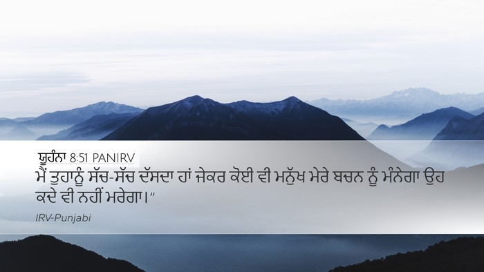 ਯੂਹੰਨਾ 8:51 PANIRV Bible Verse Image