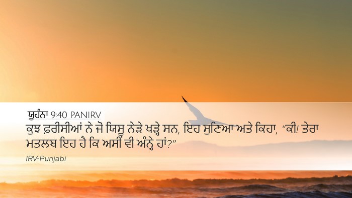 ਯੂਹੰਨਾ 9:40 PANIRV Bible Verse Image