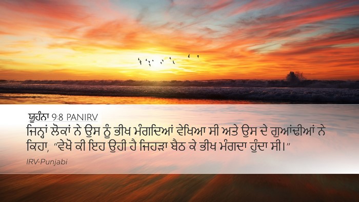 ਯੂਹੰਨਾ 9:8 PANIRV Bible Verse Image