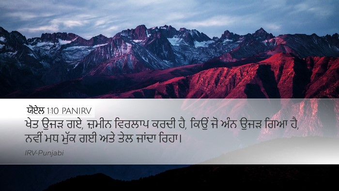 ਯੋਏਲ 1:10 PANIRV Bible Verse Image
