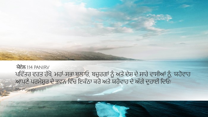 ਯੋਏਲ 1:14 PANIRV Bible Verse Image
