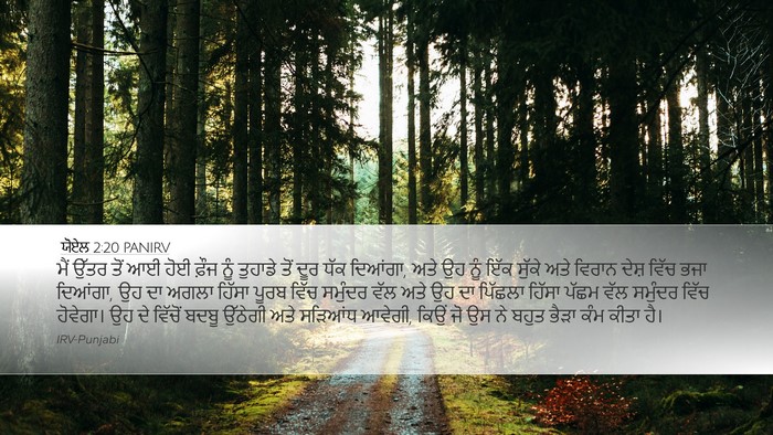ਯੋਏਲ 2:20 PANIRV Bible Verse Image