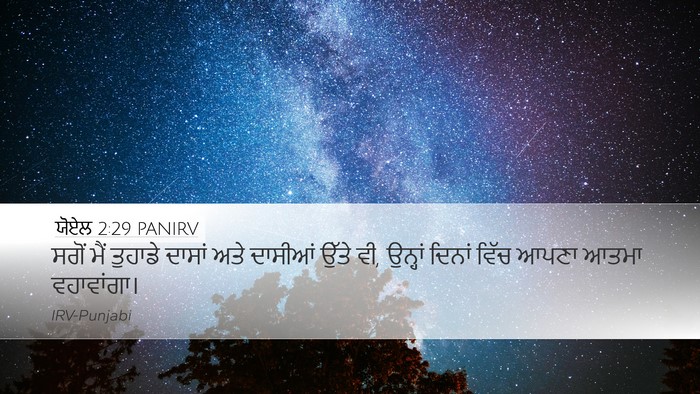 ਯੋਏਲ 2:29 PANIRV Desktop Wallpaper - ਸਗੋਂ ਮੈਂ ਤੁਹਾਡੇ - Desktop Bible Verse Wallpaper