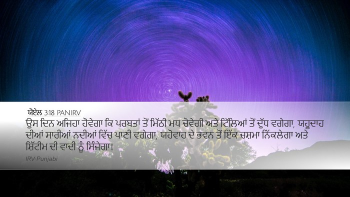 ਯੋਏਲ 3:18 PANIRV Bible Verse Image