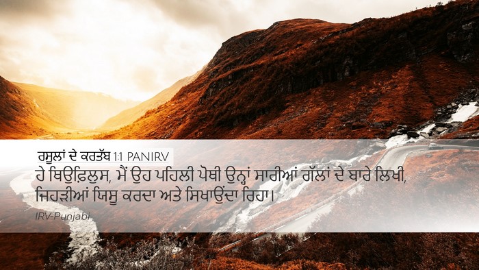 ਰਸੂਲਾਂ ਦੇ ਕਰਤੱਬ 1:1 PANIRV Bible Verse Image
