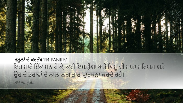ਰਸੂਲਾਂ ਦੇ ਕਰਤੱਬ 1:14 PANIRV Bible Verse Image