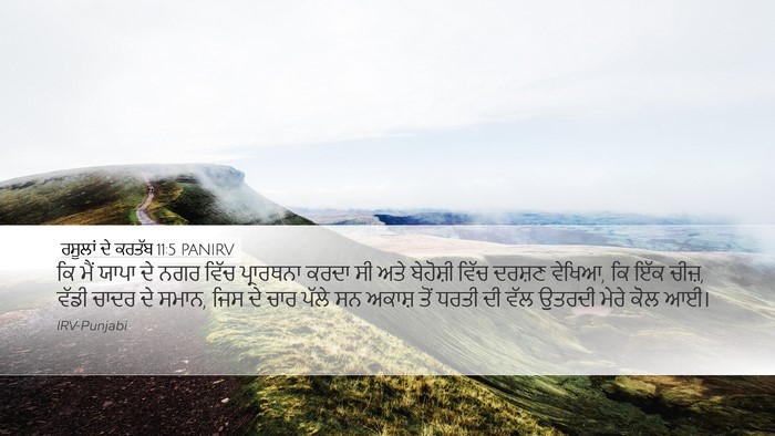 ਰਸੂਲਾਂ ਦੇ ਕਰਤੱਬ 11:5 PANIRV Bible Verse Image