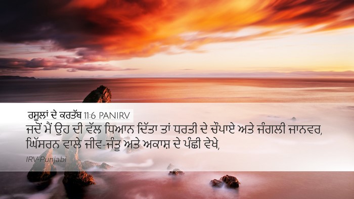 ਰਸੂਲਾਂ ਦੇ ਕਰਤੱਬ 11:6 PANIRV Bible Verse Image