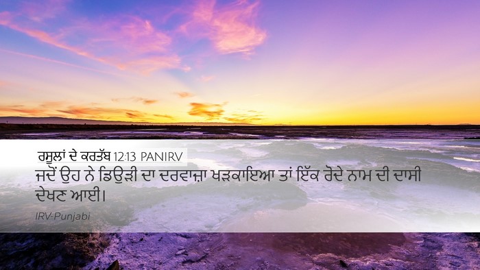 ਰਸੂਲਾਂ ਦੇ ਕਰਤੱਬ 12:13 PANIRV Bible Verse Image