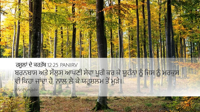 ਰਸੂਲਾਂ ਦੇ ਕਰਤੱਬ 12:25 PANIRV Bible Verse Image