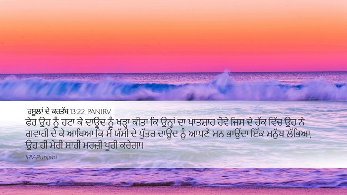 ਰਸੂਲਾਂ ਦੇ ਕਰਤੱਬ 13:22 PANIRV Bible Verse Image