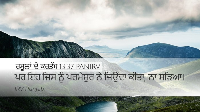 ਰਸੂਲਾਂ ਦੇ ਕਰਤੱਬ 13:37 PANIRV Bible Verse Image