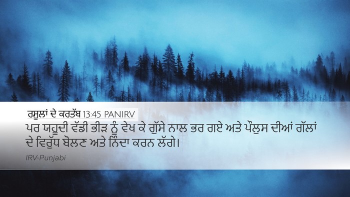 ਰਸੂਲਾਂ ਦੇ ਕਰਤੱਬ 13:45 PANIRV Bible Verse Image