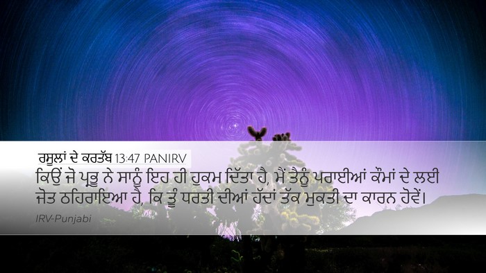 ਰਸੂਲਾਂ ਦੇ ਕਰਤੱਬ 13:47 PANIRV Bible Verse Image