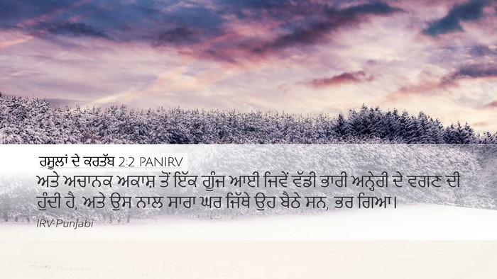 ਰਸੂਲਾਂ ਦੇ ਕਰਤੱਬ 2:2 PANIRV Bible Verse Image