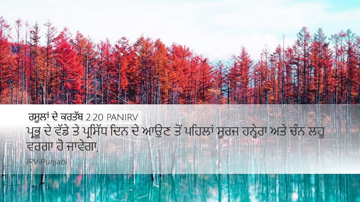 ਰਸੂਲਾਂ ਦੇ ਕਰਤੱਬ 2:20 PANIRV Bible Verse Image