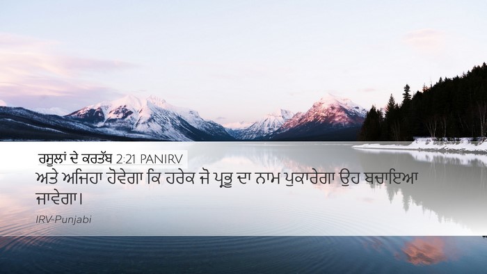 ਰਸੂਲਾਂ ਦੇ ਕਰਤੱਬ 2:21 PANIRV Bible Verse Image
