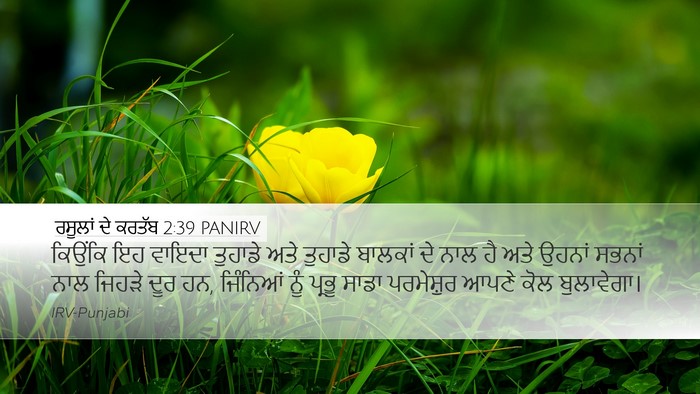 ਰਸੂਲਾਂ ਦੇ ਕਰਤੱਬ 2:39 PANIRV Bible Verse Image
