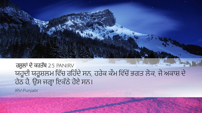 ਰਸੂਲਾਂ ਦੇ ਕਰਤੱਬ 2:5 PANIRV Bible Verse Image