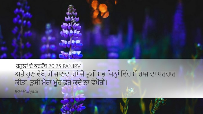 ਰਸੂਲਾਂ ਦੇ ਕਰਤੱਬ 20:25 PANIRV Bible Verse Image