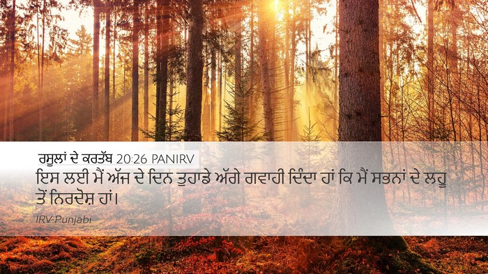 ਰਸੂਲਾਂ ਦੇ ਕਰਤੱਬ 20:26 PANIRV Bible Verse Image