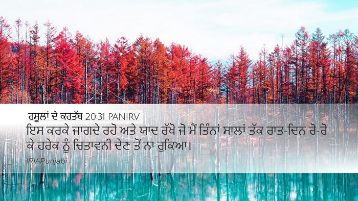 ਰਸੂਲਾਂ ਦੇ ਕਰਤੱਬ 20:31 PANIRV Bible Verse Image