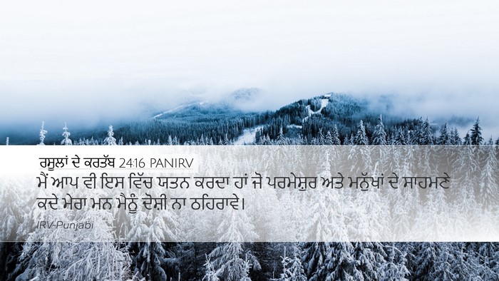 ਰਸੂਲਾਂ ਦੇ ਕਰਤੱਬ 24:16 PANIRV Bible Verse Image