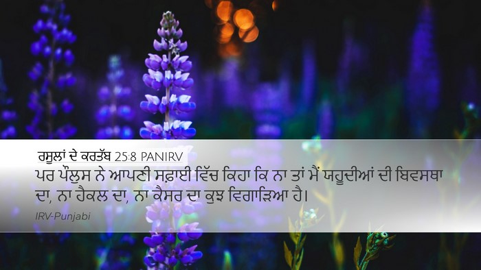 ਰਸੂਲਾਂ ਦੇ ਕਰਤੱਬ 25:8 PANIRV Bible Verse Image