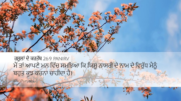ਰਸੂਲਾਂ ਦੇ ਕਰਤੱਬ 26:9 PANIRV Bible Verse Image