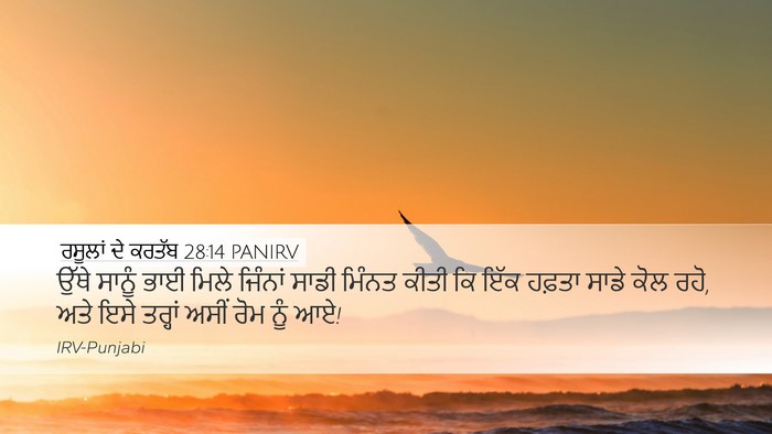 ਰਸੂਲਾਂ ਦੇ ਕਰਤੱਬ 28:14 PANIRV Bible Verse Image