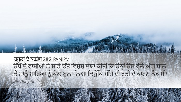 ਰਸੂਲਾਂ ਦੇ ਕਰਤੱਬ 28:2 PANIRV Bible Verse Image
