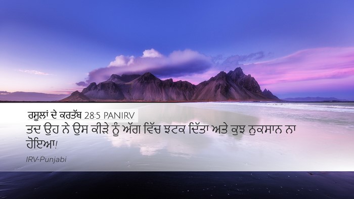 ਰਸੂਲਾਂ ਦੇ ਕਰਤੱਬ 28:5 PANIRV Bible Verse Image